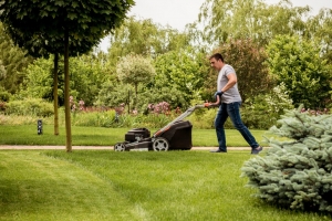 How to Choose the Best Lawn Mowing Service in Parramatta: A Comprehensive Guide