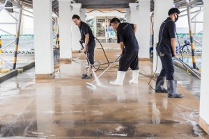 Why Proper Construction Cleaning in Parramatta is Essential for New Building Handovers